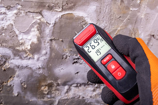 Best Mold Remediation  in Berkley, CO