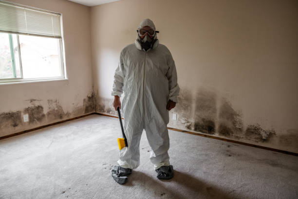 Best Mold Damage Repair  in Berkley, CO